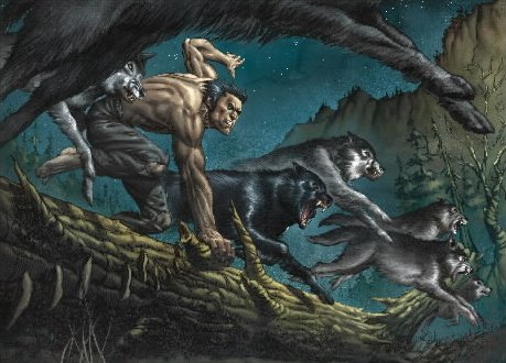 Resultado de imagem para hq wolverine origem