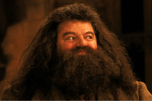 hagrid-hp