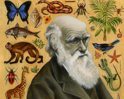 plano crítico A Origem das EspéciesOn the Origin of Species Charles Darwin